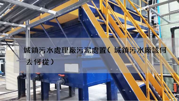 城鎮污水處理廠污泥處置(城鎮污水廠該何去何從)